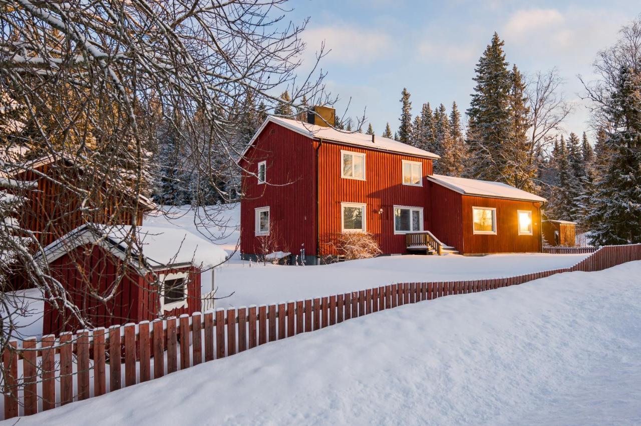 The Bear'S Den Villa Håkafot Екстериор снимка