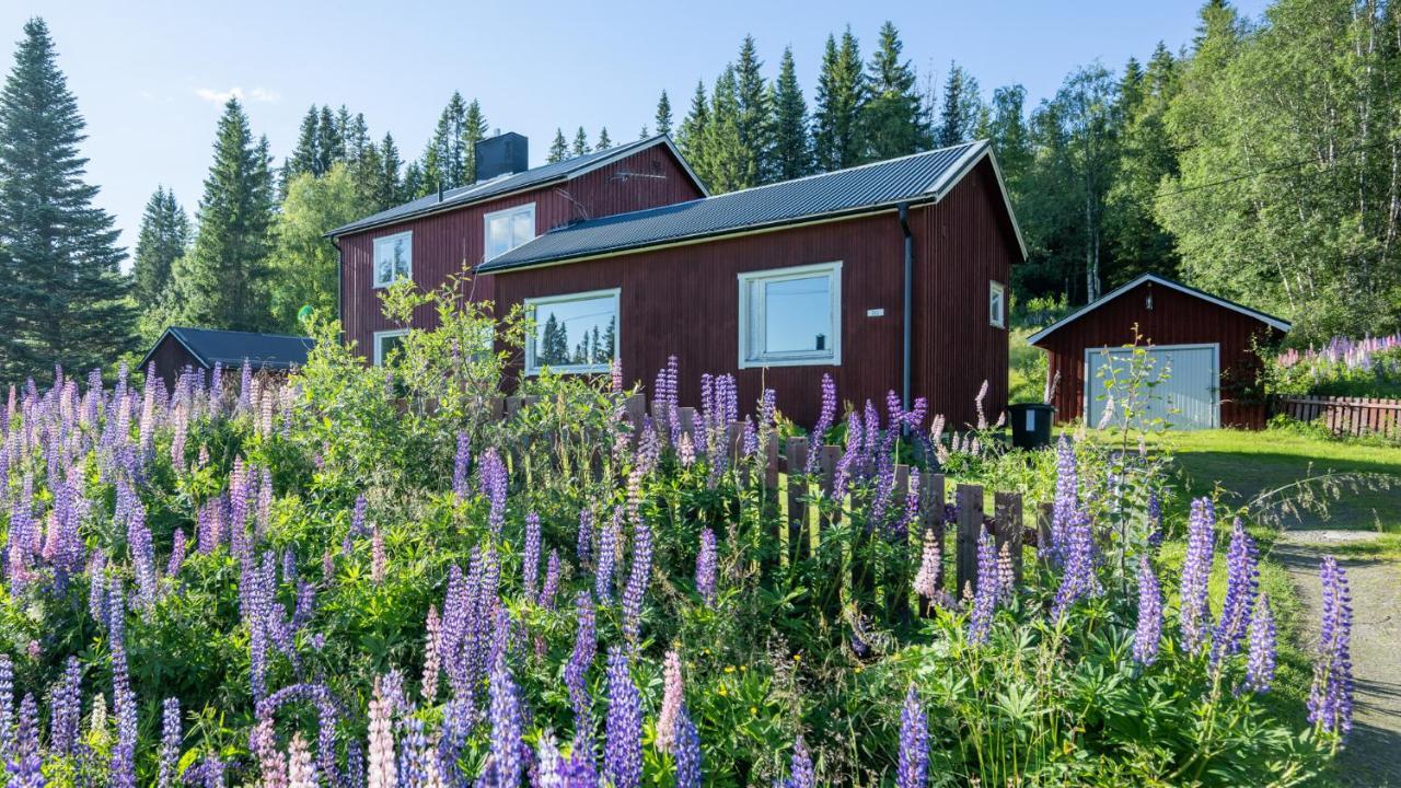The Bear'S Den Villa Håkafot Екстериор снимка