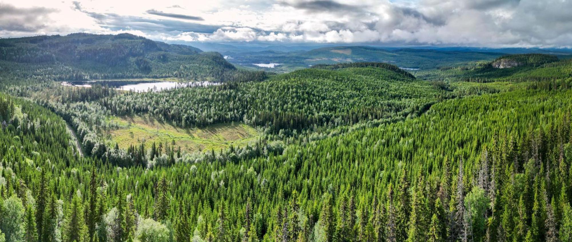 The Bear'S Den Villa Håkafot Екстериор снимка