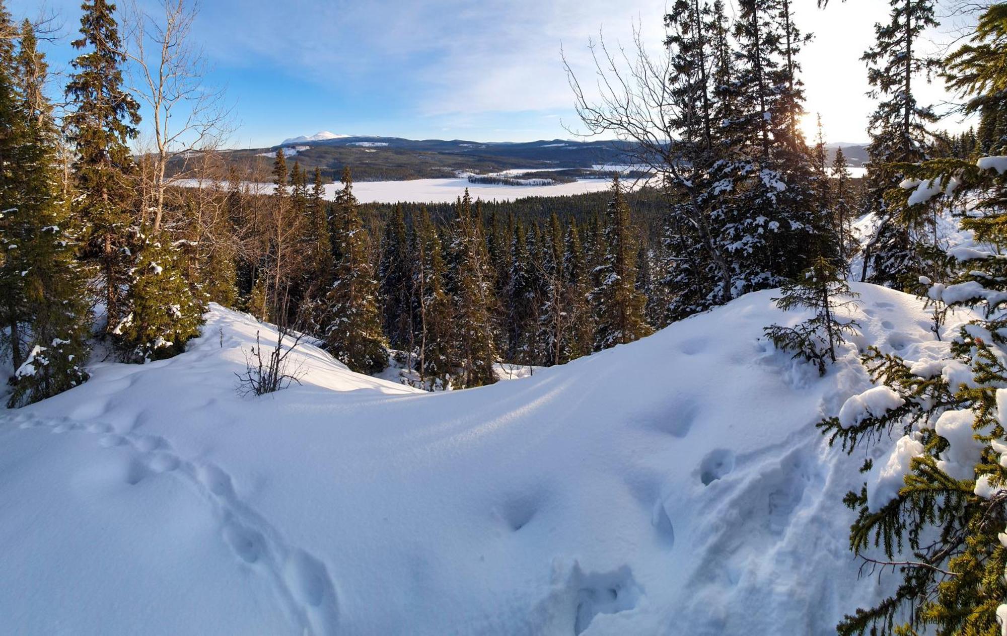 The Bear'S Den Villa Håkafot Екстериор снимка